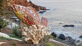 GC-Playa de Arinaga 2026-128.jpg